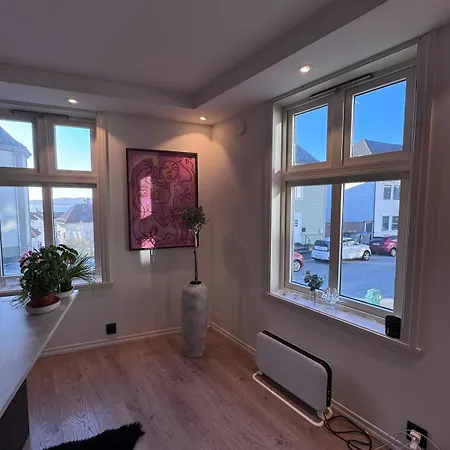 Apartman Sental In Sandviken